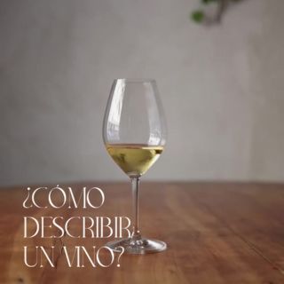 ¿Cómo se descrkibe un vino?