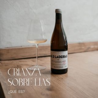 Crianza sobre lías_Vinology