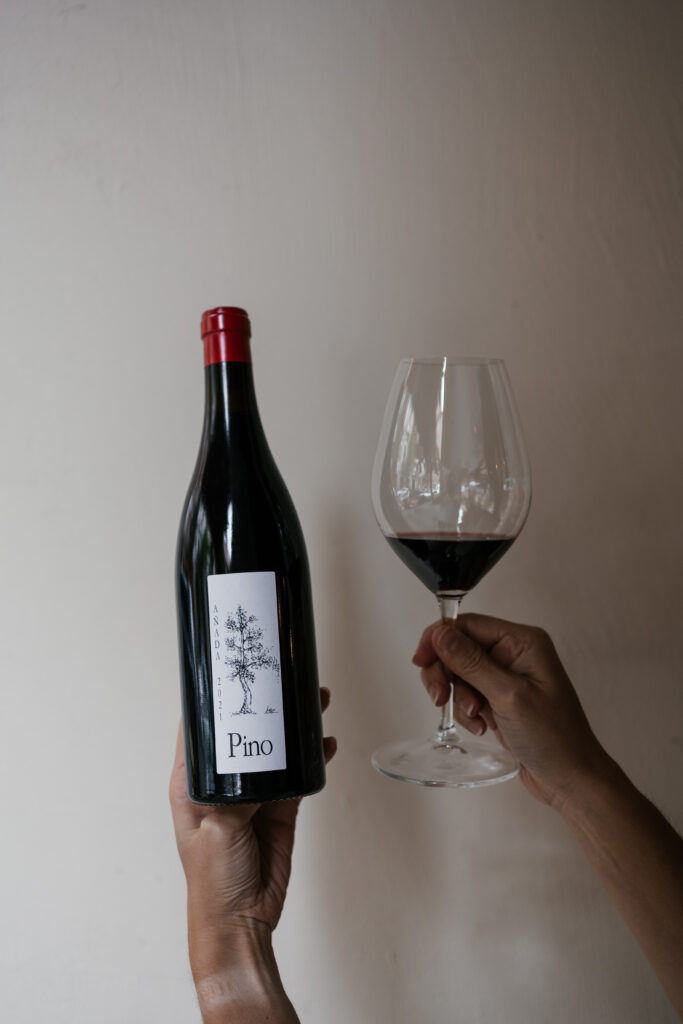 Pino2023 _Vinology 