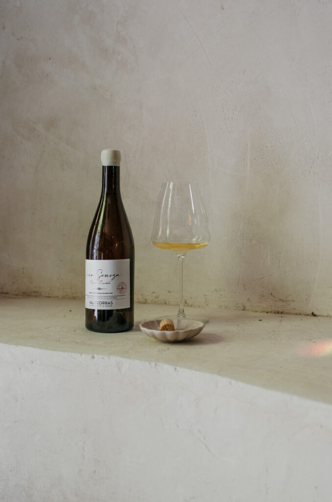 Viña Somoza_Vinology