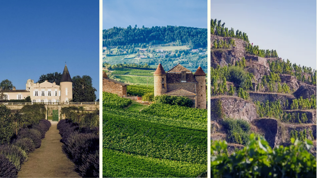 Taller de Introducción a la cultura del Vino de Francia