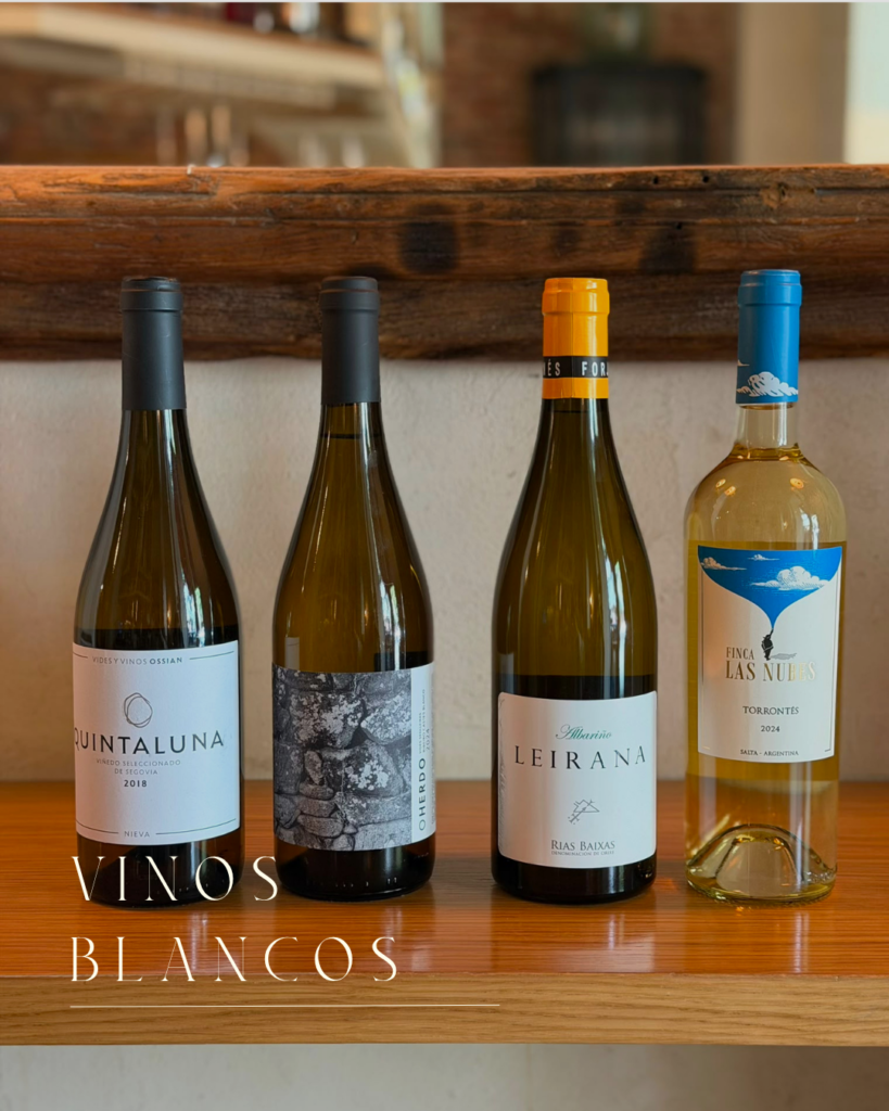 Vinos de verano_Vinology
