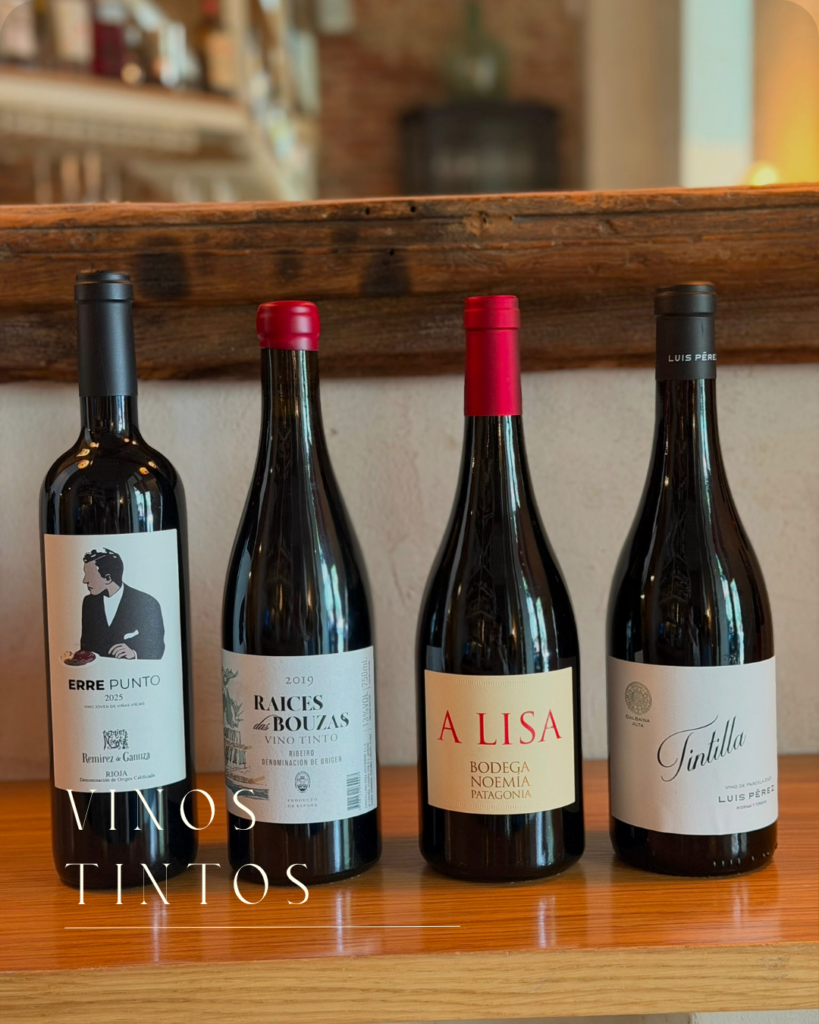 Vinos de verano_Vinology